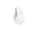Миша Trust Bayo 2 Ergonomic White (25397) - изображение 2