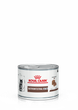 Влажный корм для котят Royal Canin Gastrointestinal при расстройствах пищеварения, 195 г - изображение 1