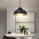 Светильник подвесной в стиле лофт MSK Electric Dome СП 3614 BK+GD - изображение 3