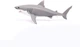 Игрушка-фигурка Большая белая акула Schleich 14809 - изображение 2