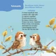 Стихята-игралочки. Забавочки, потешницы, подвижнки, кроватки для малышей 0+ Забежка Ю. 9786170043054 - изображение 8
