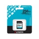 Карта пам'яті Kingston SD 256GB C10 UHS-I U3 V30 R200/W160MB/s - изображение 7