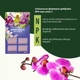 Добриво-палички Compo для орхідей 20 шт (1978) - изображение 7
