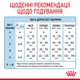 Замінник молока для щенят Royal Canin Babydog milk 2 кг - зображення 4