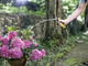 Wąż Karcher Performance Plus 3/4 - 25 m (2.645-322.0) - obraz 6