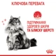Влажный корм для кошек Royal Canin Hair and Skin Care Gravy для здоровья кожи и шерсти, 85 г - изображение 4