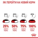 Влажный корм для кошек Royal Canin Hairball Care Gravy для выведения шерстяных комочков, 85 г - изображение 7
