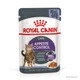 Влажный корм для кошек Royal Canin Appetite Control Care склонных к выспрашивание корма, 85 г - изображение 1