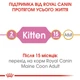 Корм для котят породы Мейн-Кун Royal Canin Maine Coon Kitten 400 г - изображение 4