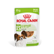 Влажный корм для собак миниатюрных пород Royal Canin X-Small Adult 85 г - изображение 1