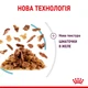 Вологий корм для кішок Royal Canin Sensory Feel Morsels in jelly стимулюючий смакові рецептори, 85 г - зображення 4