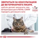 Влажный корм для кошек Royal Canin Urinary S/O Moderate Calorie при заболеваниях нижних мочевыводящих путей, 85 г - изображение 6