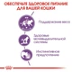 Влажный корм для кошек Royal Canin Sterilised Jelly для стерилизованных, 85 г - изображение 3