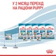 Влажный корм для щенков и беременных собак Royal Canin Starter Mousse Mother & Babydog 195 г - изображение 6