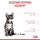 Корм для кошенят Royal Canin Kitten Sterilised для стерилізованих, 2 кг - зображення 3