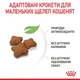 Корм для кошенят Royal Canin Kitten Sterilised для стерилізованих, 2 кг - зображення 4