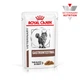 Вологий корм для кішок Royal Canin Gastrointestinal при розладах травлення, 85 г - зображення 1