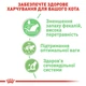 Вологий корм для кішок Royal Canin Digest Sensitive Gravy з чутливим травленням, 85 г - зображення 3