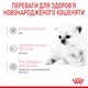 Замінник котячого молока для кошенят Royal Canin Babycat milk 300 г - зображення 4