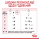 Замінник котячого молока для кошенят Royal Canin Babycat milk 300 г - зображення 5