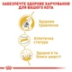 Корм для котів породи Бенгальська Royal Canin Bengal Adult 2 кг - зображення 4