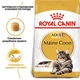 Корм для кошек породы Мейн-Кун Royal Canin Maine Coon Adult 10 кг - изображение 2