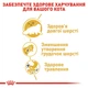 Корм для кошек Персидской породы Royal Canin Persian Adult 2 кг - изображение 4