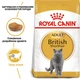 Корм для кошек породы Британская Короткошерстная Royal Canin British Shorthair Adult 400 г - изображение 2
