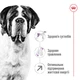 Корм для собак гігантських порід Royal Canin Giant Adult 15 кг - зображення 2