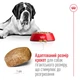 Корм для собак гігантських порід Royal Canin Giant Adult 15 кг - зображення 4