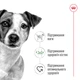 Корм для собак мелких пород Royal Canin Mini Adult 0,8 кг - изображение 2