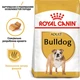Корм для собак породы Английский Бульдог Royal Canin Bulldog Adult 3 кг - изображение 2
