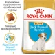 Корм для щенков породы Джек-Рассел-Терьер Royal Canin Jack Russell Terrier Puppy 1,5 кг - изображение 2