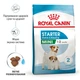 Корм для щенков и беременных собак мелких пород Royal Canin Mini Starter Mother & Babydog 8 кг - изображение 2