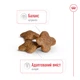 Корм для собак дрібних порід Royal Canin Mini Adult 8+, 0,8 кг - зображення 4