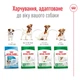 Корм для собак дрібних порід Royal Canin Mini Adult 8+, 0,8 кг - зображення 5