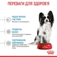 Корм для щенков миниатюрных пород Royal Canin X-small Puppy 1,5 кг - изображение 3