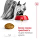 Корм для собак миниатюрных пород Royal Canin X-small Adult 8+, 3 кг - изображение 4