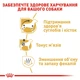 Корм для собак породы Такса Royal Canin Dachshund Adult 1,5 кг - изображение 4