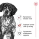 Корм для собак средних пород Royal Canin Medium Adult 15 кг - изображение 2