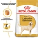 Корм для собак породы Лабрадор-Ретривер Royal Canin Labrador Retriever Adult 12 кг - изображение 2
