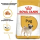 Корм для собак породы Мопс Royal Canin Pug Adult 1,5 кг - изображение 2