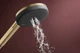 Душевая лейка HANSGROHE Raindance Alive EcoSmart с кнопкой 125мм пластик бронза 24511140 - изображение 3