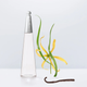 Парфумована вода для жінок Issey Miyake L'eau D'issey Intense 30 мл (3423222118310) - зображення 4