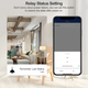 Умное двухканальное реле Wifi Tuya Smart Life мини выключатель, работает без нуля - изображение 5