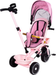 Rowerek trójkołowy spacerówka EcoToys WQL-186 PINK (5905817007219) - obraz 2