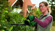Nożyce akumulatorowe Bosch EasyHedgeCut 18-45 + 1 akumulator PBA 18 V 2 Ah + ładowarka AL 1810 CV (0600849H02) - obraz 4