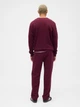 Спортивный костюм мужской утепленный GAP 786567390 M Бордовый (1159847169) - изображение 2