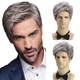 Парик мужской короткий пепельный седой, термоволокно DC WIG-M54 - изображение 1