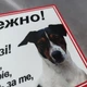 Табличка Обережно, собака без прив'язі Алюмінієва - изображение 4